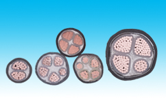 額定電壓0.61kV交聯(lián)聚乙烯絕緣